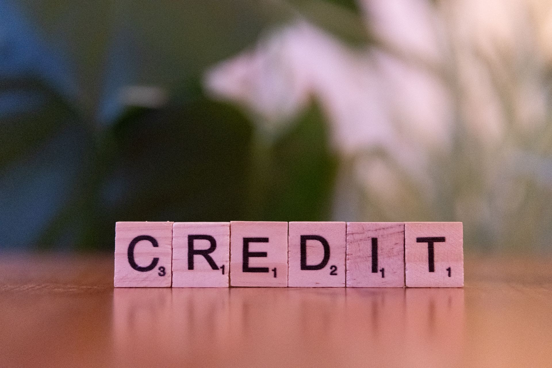Close-up of wooden blocks spelling credit with blurred background